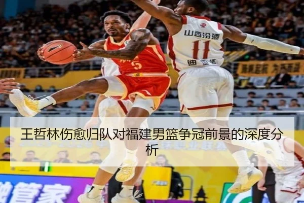 王哲林伤愈归队对福建男篮争冠前景的深度分析